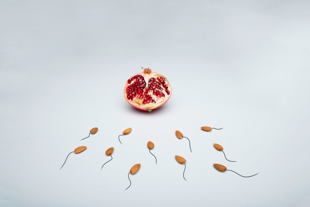combien de temps le sperm se recharge